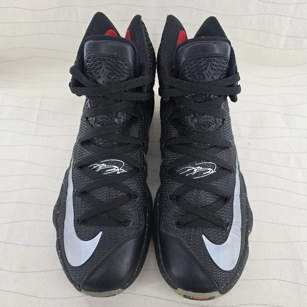 Nike mens lebron